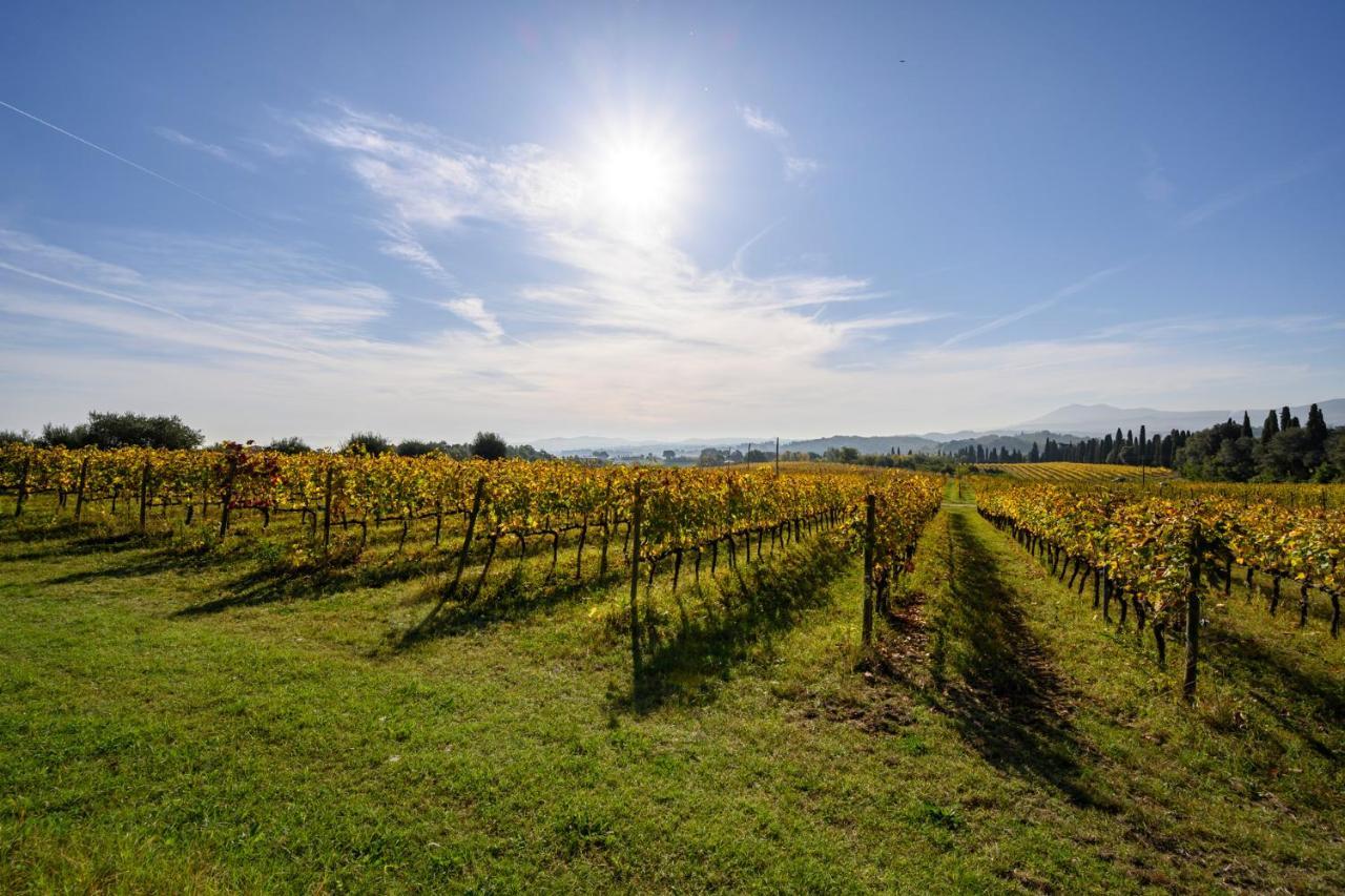 Precise Tale Poggio Alla Sala Montepulciano Zewnętrze zdjęcie